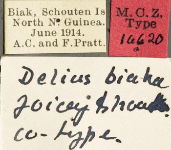 Media type: image;   Entomology 16620 Aspect: labels